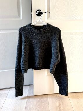 H&M Charcoal Cropped Crewneck Sweater